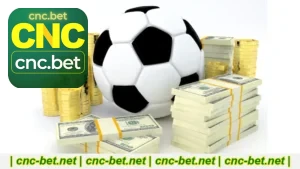 CncBet Apostas Esportivas Como Funciona Na Prática