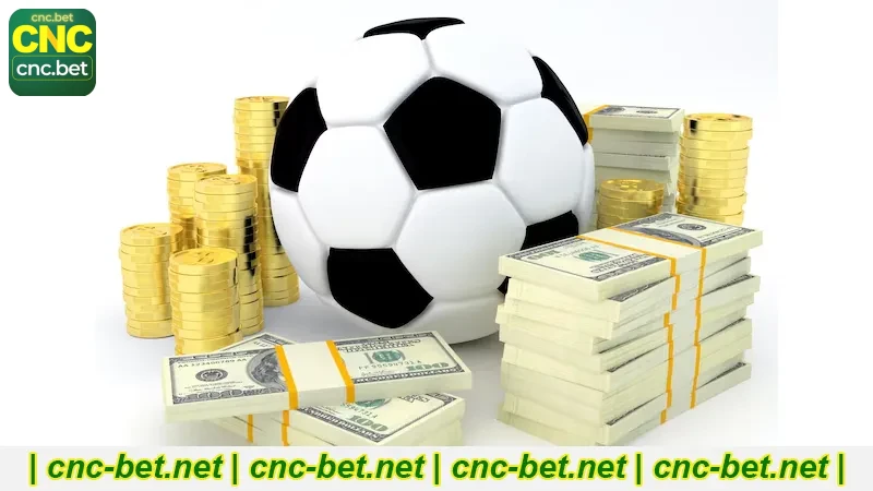 CncBet Apostas Esportivas Como Funciona Na Prática