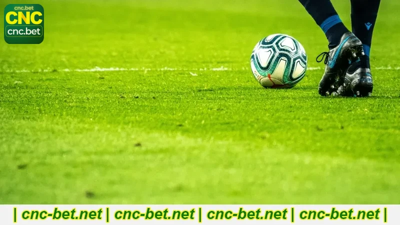 Como Criar Conta E Apostar Na CncBet Apostas Esportivas