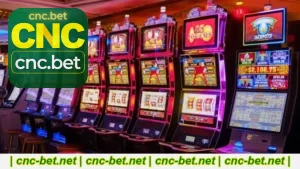 CncBet Caça-Níqueis Guia Completo Para Jogar
