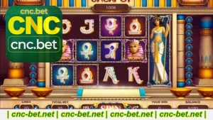 CncBet Jackpots Como Funcionam E Como Participar