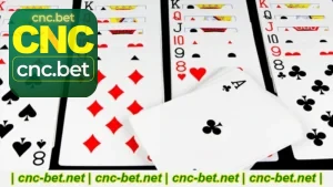 CncBet Jogos de Cartas guia completo para começar