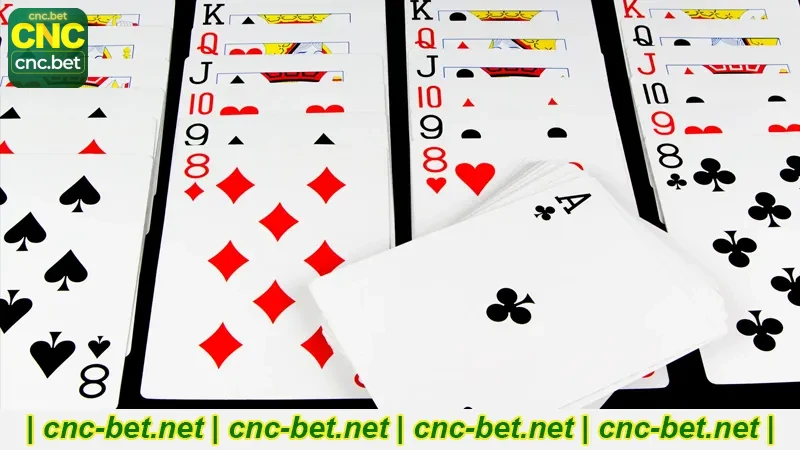 CncBet Jogos de Cartas guia completo para começar