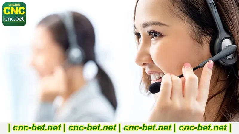 Chat online na plataforma
