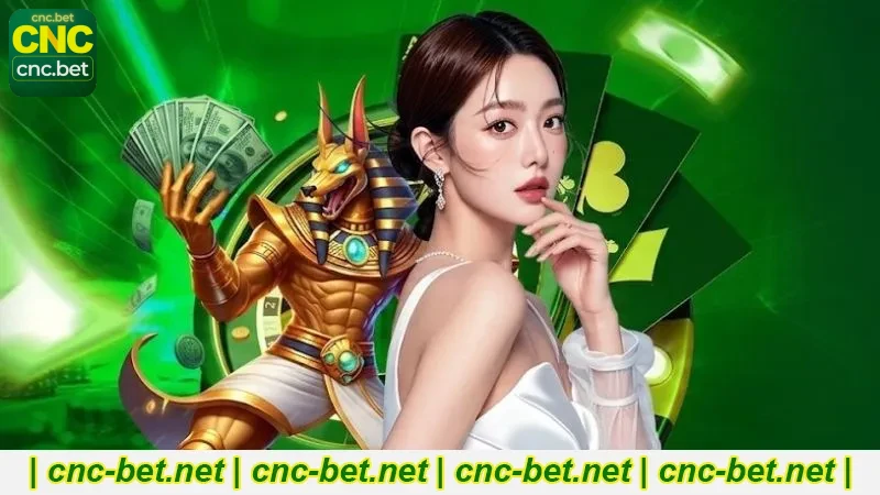 Como É Jogar na CncBet: Experiência do Usuário